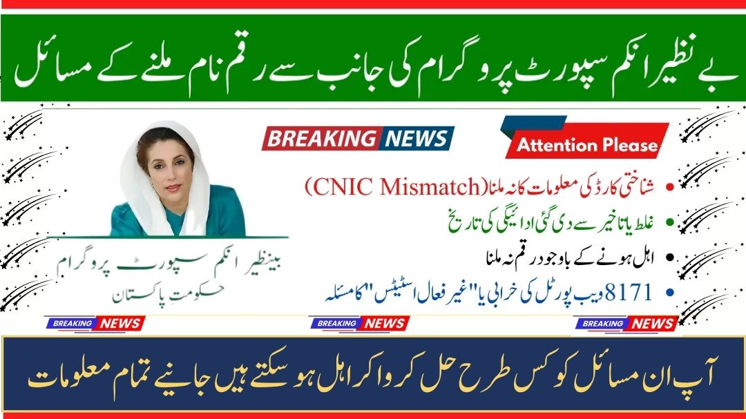 8171 BISP Payment 2025
