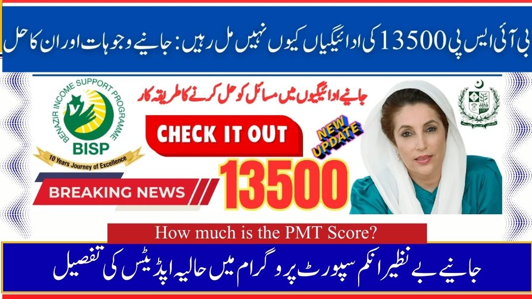 BISP 13500 Payments