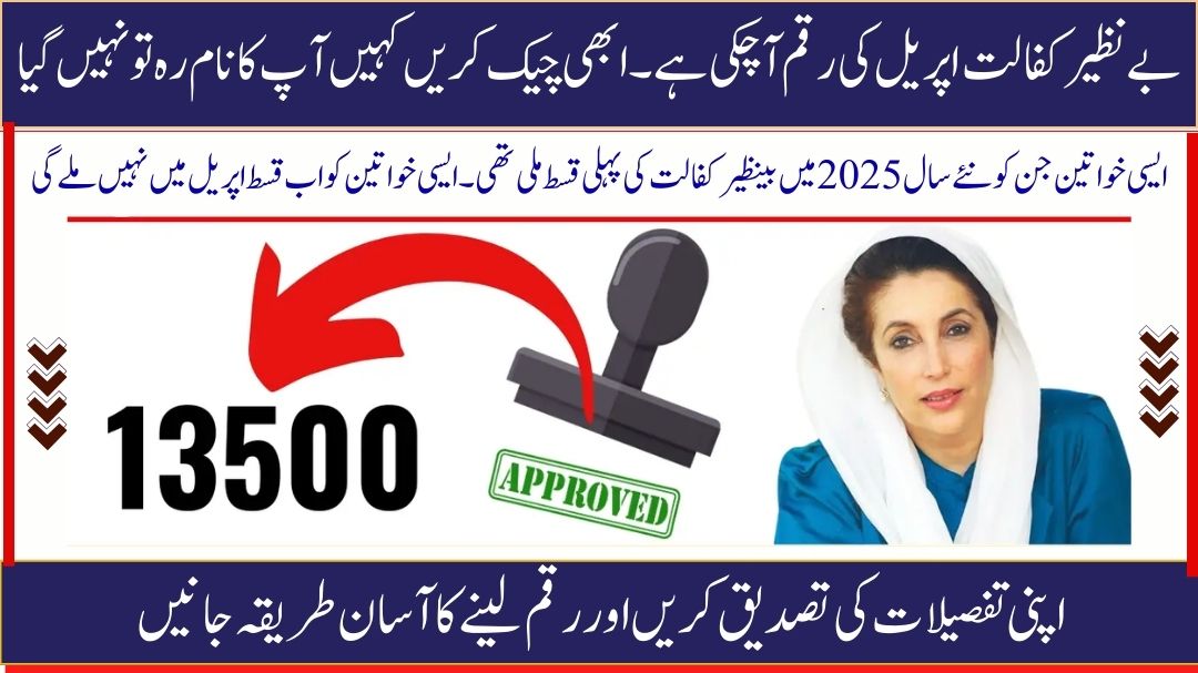BISP Payment Validation April 2025