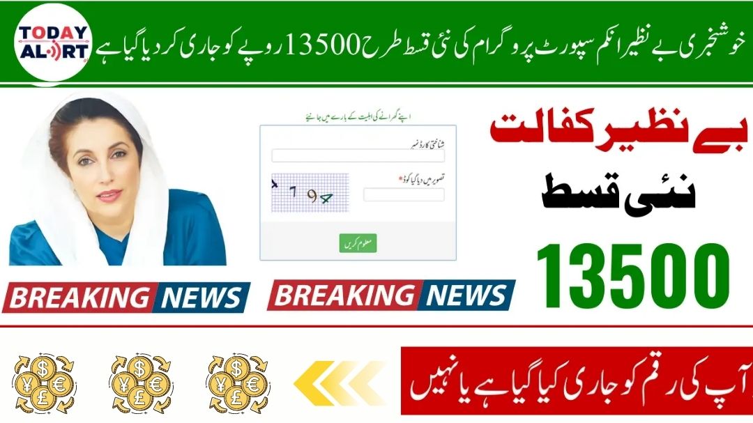 BISP 8171 Payment