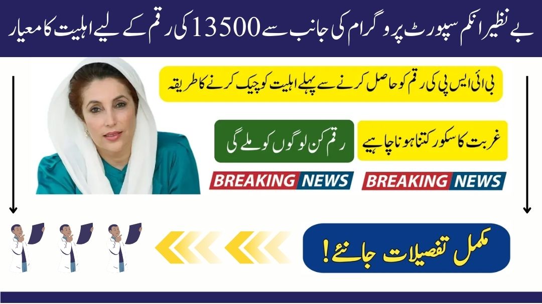 Benazir Income Support Payment