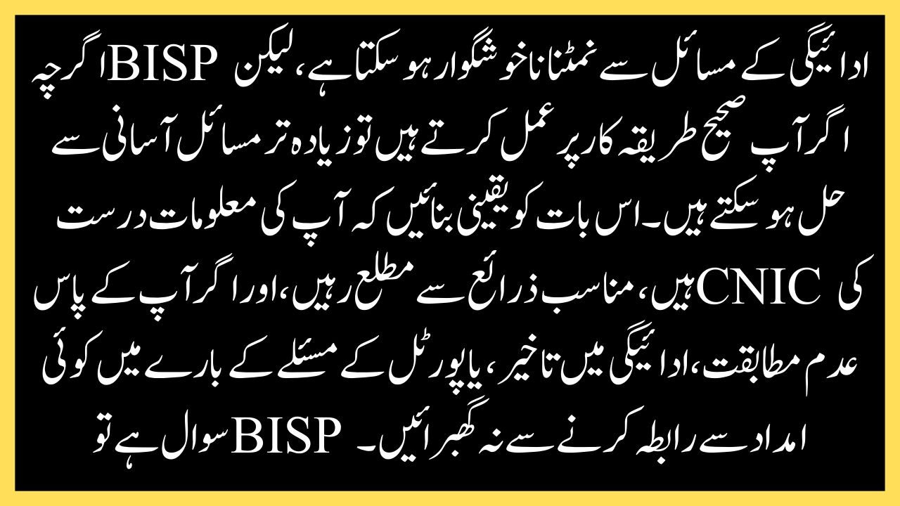 8171 BISP Payment 2025