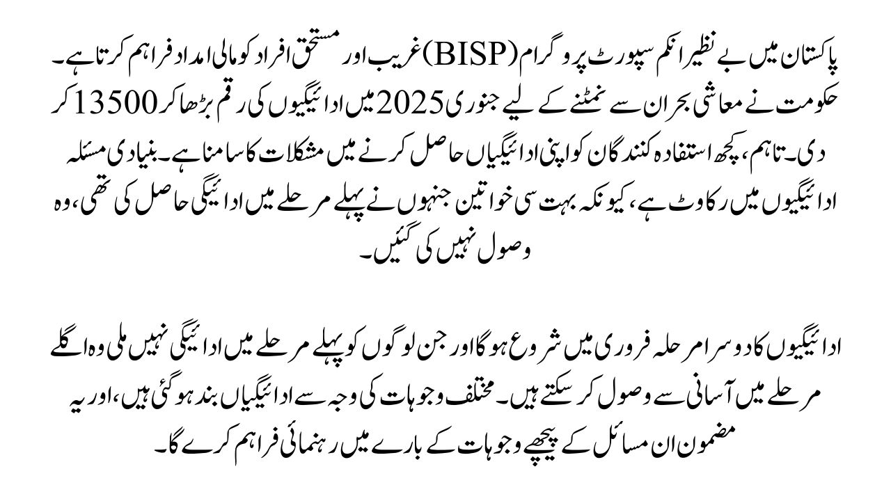 BISP 13500 Payments