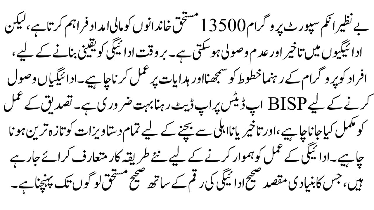 BISP 13500 Payments