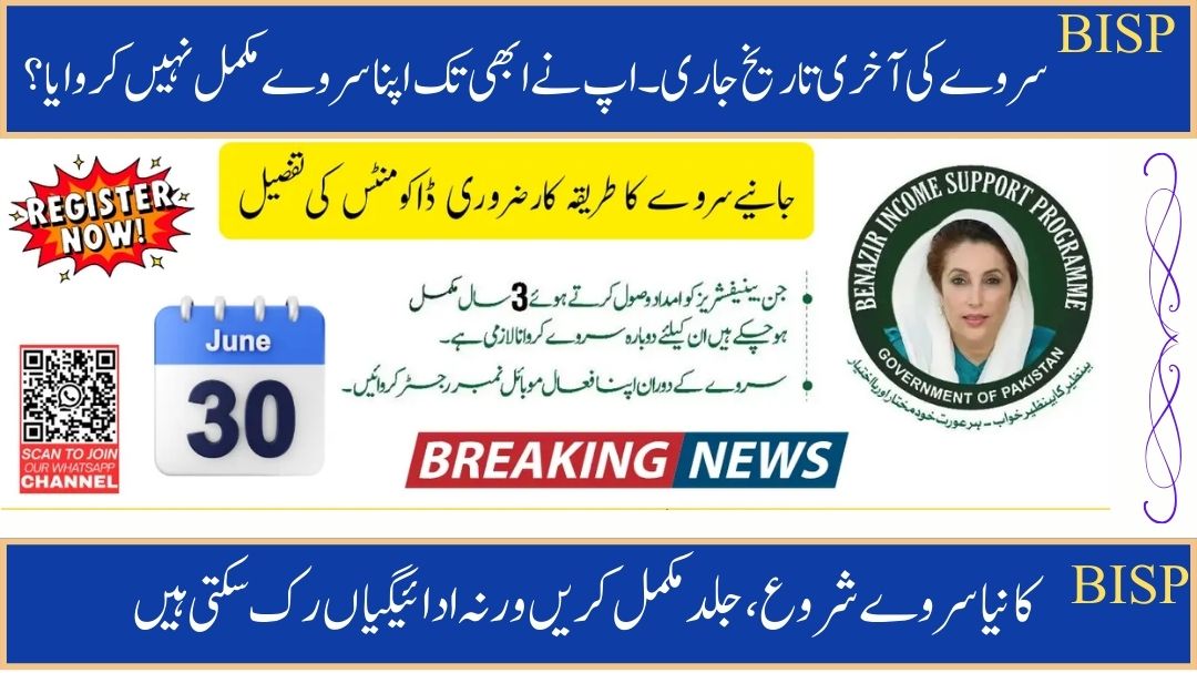 BISP Survey