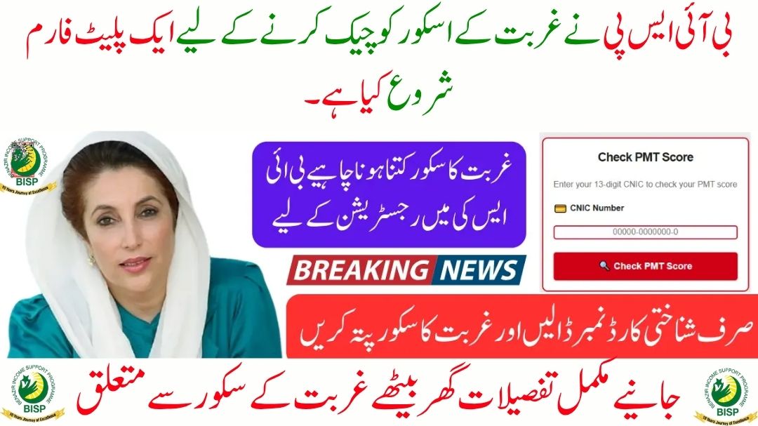 BISP PMT Score